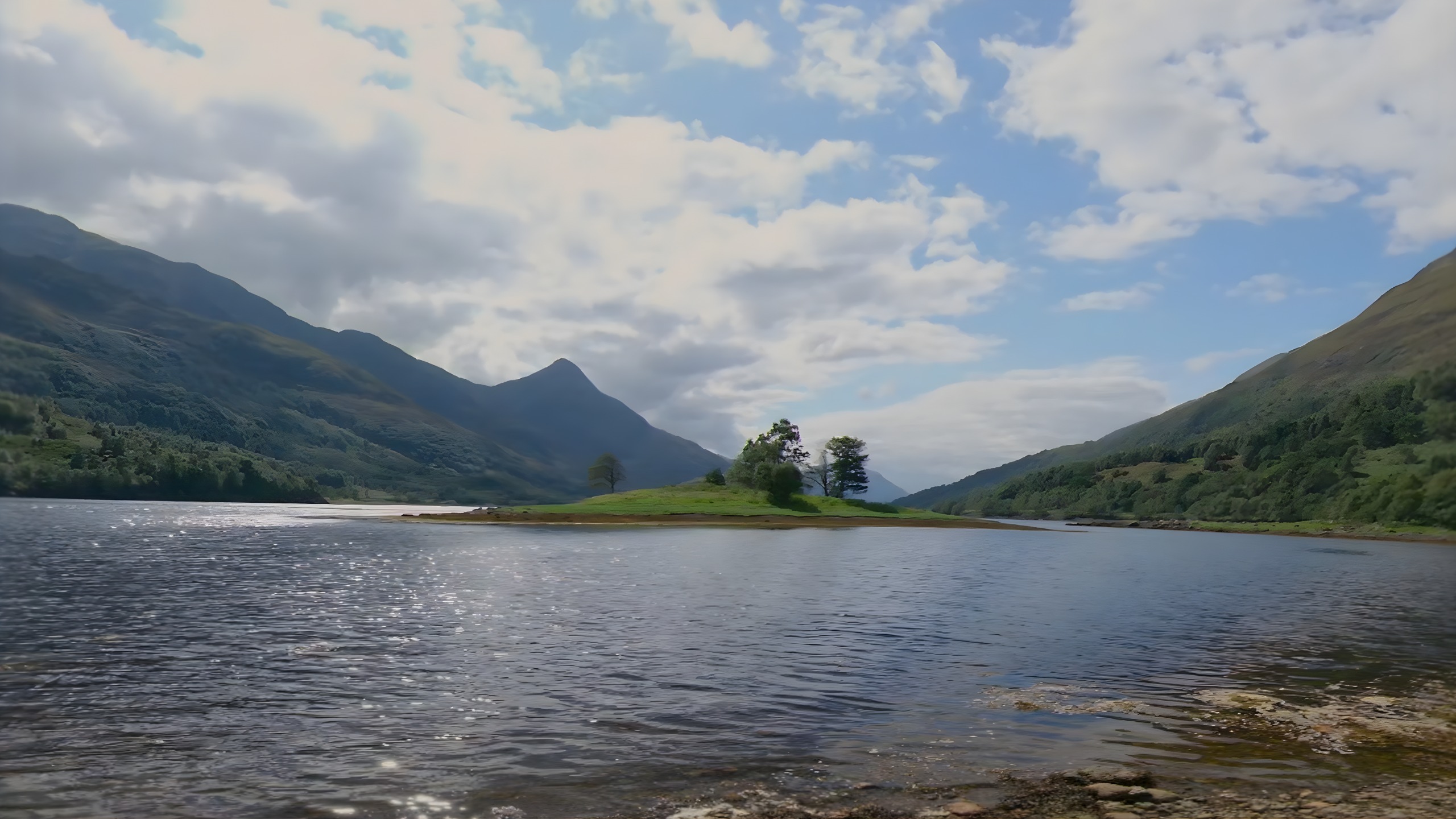 Seagull Island coastal view
